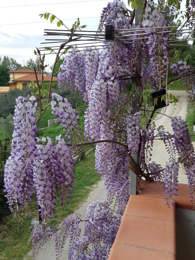 Il Glicine Bed & Breakfast Chieti Eksteriør bilde